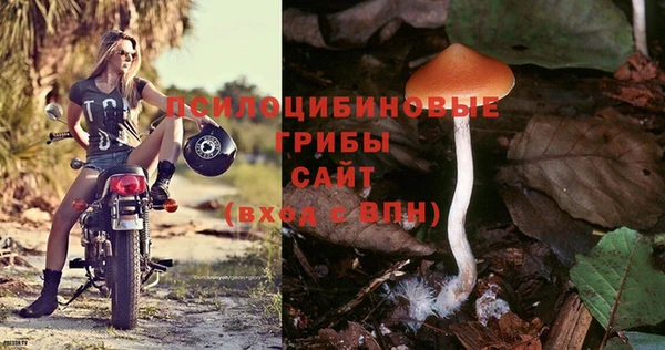 ГАЛЛЮЦИНОГЕННЫЕ ГРИБЫ Алексеевка