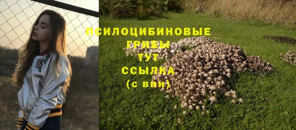 бутират Алзамай