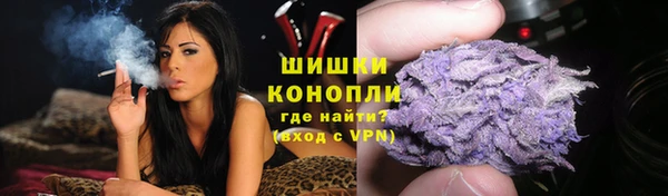 ГАЛЛЮЦИНОГЕННЫЕ ГРИБЫ Алексеевка