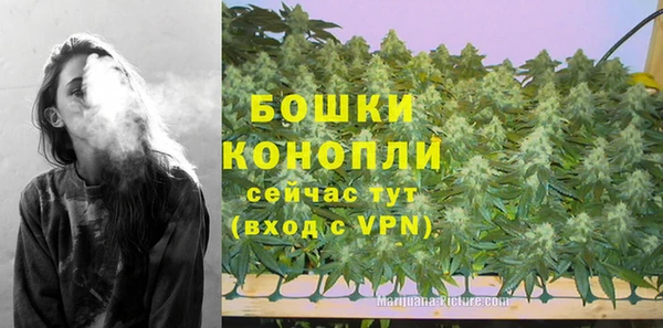 дурь Осташков